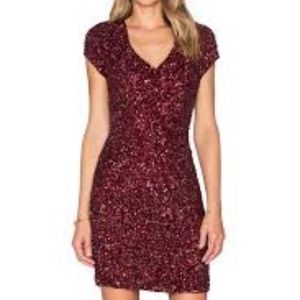 NWT Parker Black Serena Embellished Dress in Burgundy